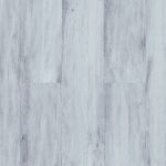 FS 007